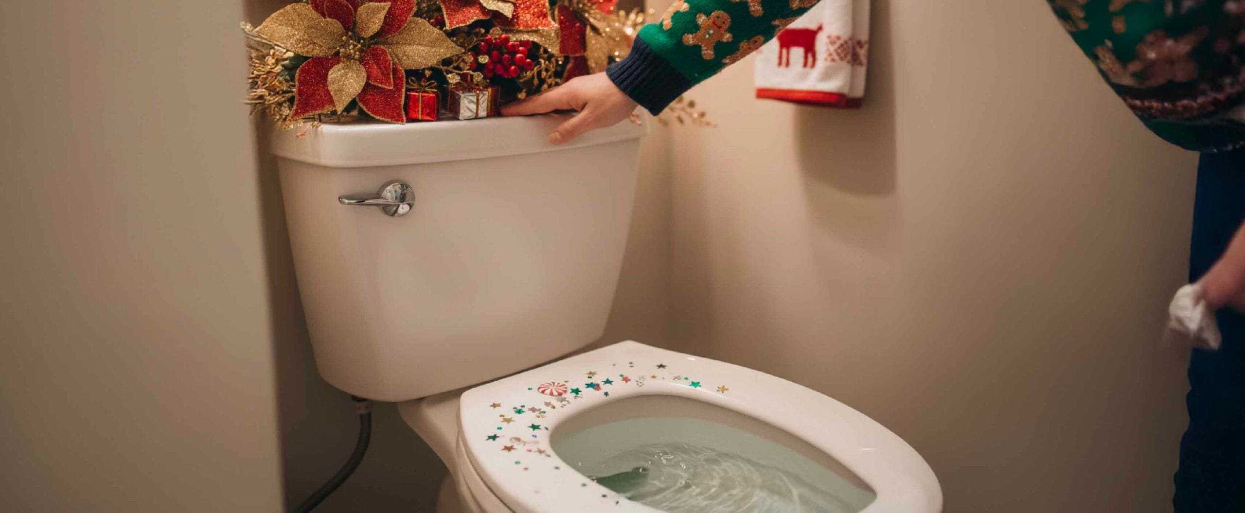 Mr.Rooter-Blog_LD Toilet’s flushing power