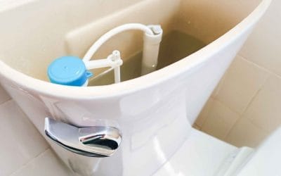 Why is my Toilet Always Running? Common Culprits and Fixes