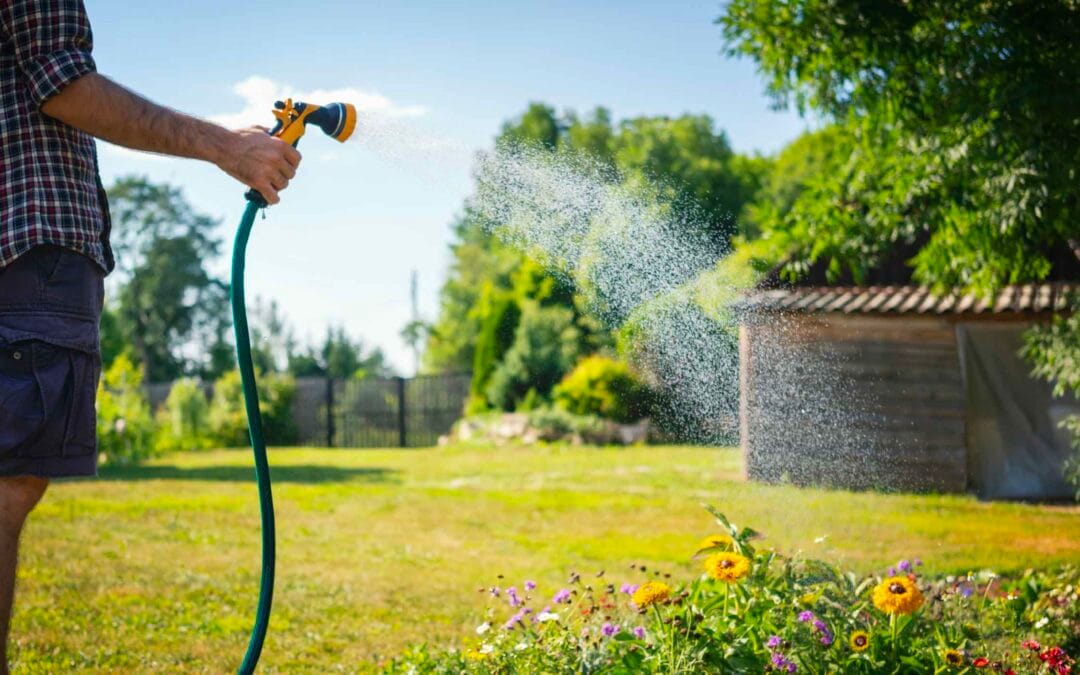 How to Save Water During the Summer