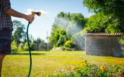 How to Save Water During the Summer