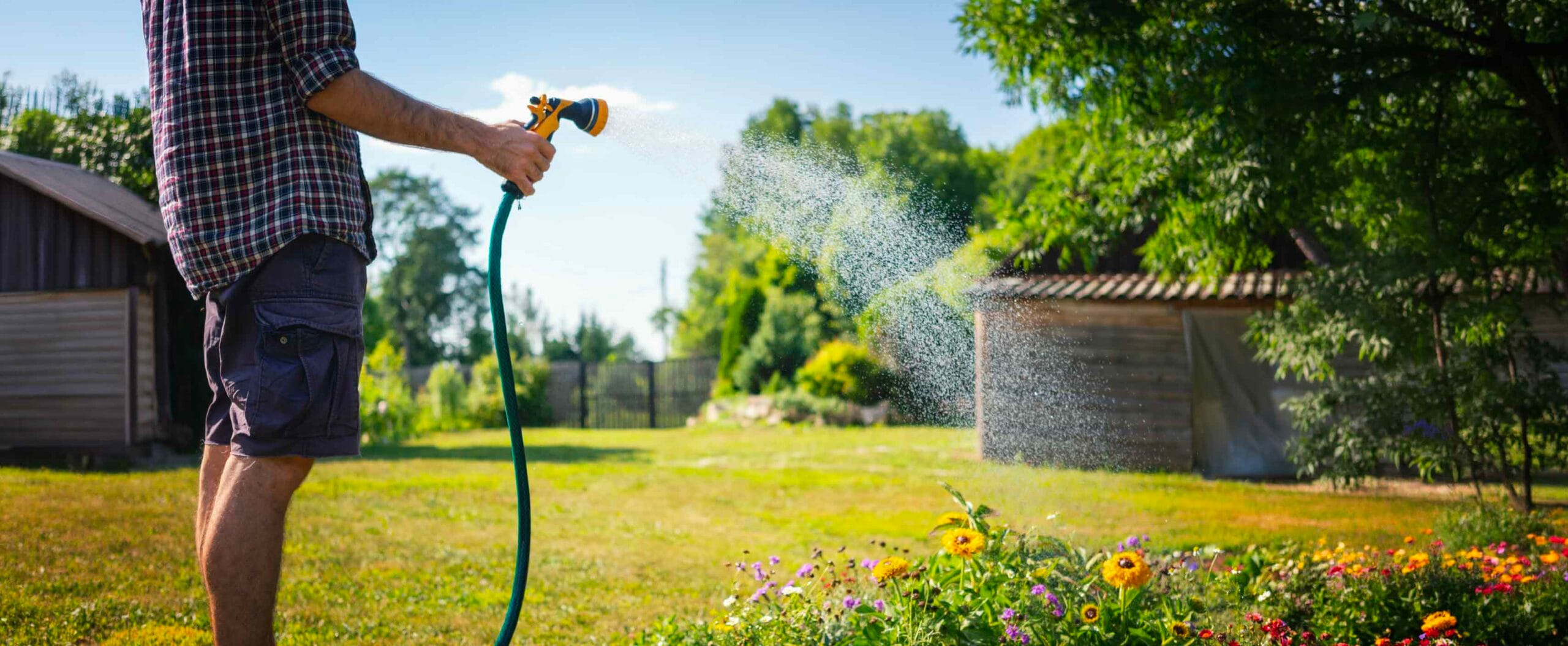 Save water during the summer